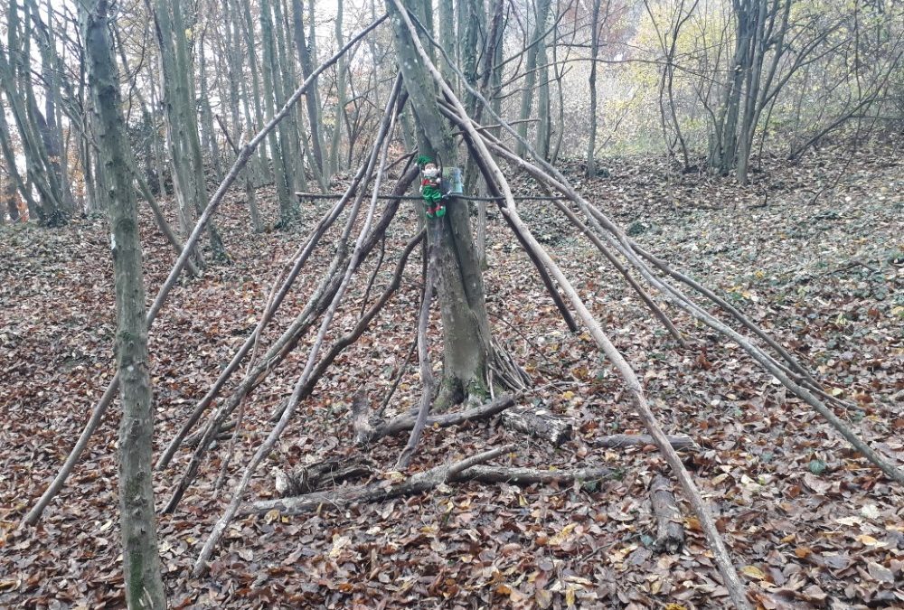 ŠKRATOVE GOZDNE HIŠICE