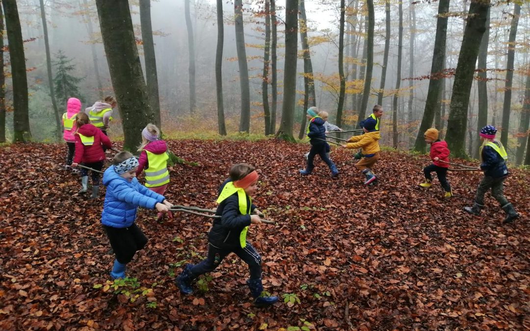 S PRVOŠOLCI SKOZI MOGOČNA GOZDNA VRATA