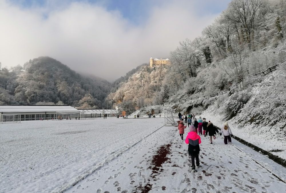 ZIMOVANJE IN ZAČETNI TEČAJ SMUČANJA