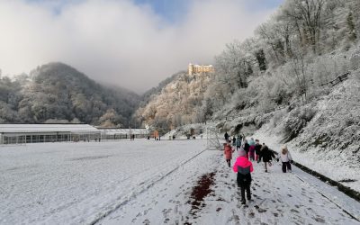 ZIMOVANJE IN ZAČETNI TEČAJ SMUČANJA